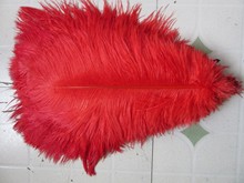 50pcs wholesale high quality red ostrich feathers 12-14 inches / 30-35 cm wedding decoration 2024 - buy cheap