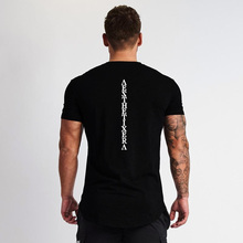 Camiseta fitness masculina de algodão, camiseta de ginástica com corte slim para o verão 2024 - compre barato