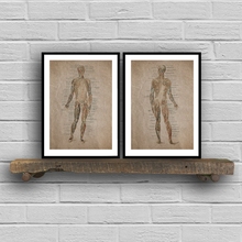 Human Body Anatomy Vintage Posters and Prints Human Muscle Anatomical Skeleton Canvas Painting Doctor's Office Wall Art Decor 2024 - buy cheap