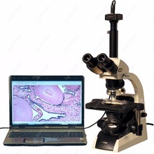 Infinity Plan Microscope--AmScope Supplies 40X-2500X Infinity Plan Trinocular Biological Microscope w 10MP Digital Camera 2024 - buy cheap