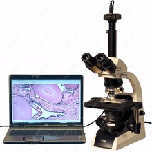 Infinito Plan microscopio. AmScope suministros 40X-2500X infinito Plan microscopio biológico triocular w 10MP cámara Digital 2024 - compra barato