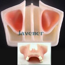 Dental Tooth Implant Practice Model Maxillary Model Teaching Model 2024 - buy cheap