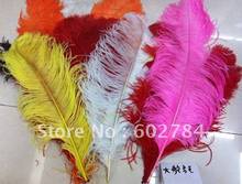 EMS Free shipping 100pcs/ lot  24-26inch 60-65cm mix color-50pcs/color ostrich feather wholesale 2024 - купить недорого