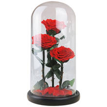 Вечные цветы сушеные цветы сохраненные свежие цветы живая Роза стеклянная крышка купол подарочная коробка 2024 - купить недорого