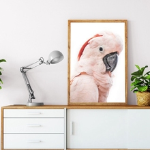 Cacatúa rosa con estampado de pájaro australiano, póster de Animal grande Tropical, pintura en lienzo, imagen de fotografía, decoración de la pared del hogar 2024 - compra barato