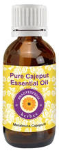 FRee Shipping Pure Cajeput Essential oil (cajeputi) 100% Natural Therapeutic Grade 5ML 2024 - buy cheap