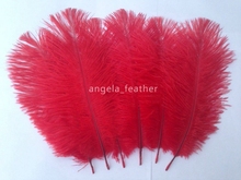wholesale--100pcs a lot 8-10inch Red Ostrich Feather Plume for Wedding centerpieces table decoration 2024 - buy cheap
