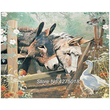 Broca quadrado completo 5d diy pintura diamante donkey assistindo patos bordado ponto cruz mosaico strass decoração da sua casa yg320 2024 - compre barato