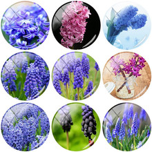 JWEIJIAO 5pcs/Lot hyacinth Flowers Images DIY Glass Cabochon Dome Demo Flat Back Jewelry Findings Dropshipping 2024 - buy cheap