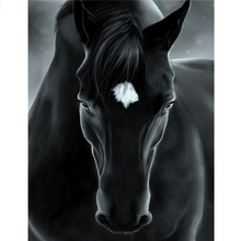 5D DIY Алмазная картина Черная лошадь 3d изображение горного хрусталя Алмазная вышивка мозаика Вышивка крестом полный квадратный круглый декор 2024 - купить недорого