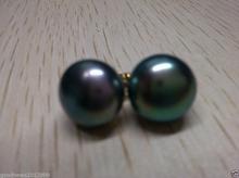 free shipping stunning A pair of natural 9.5-10mm tahitian black pearl earring 14k/20 yellow Gold 2024 - buy cheap