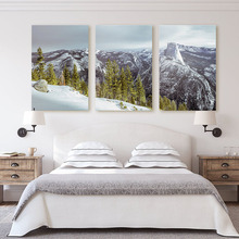 Modern Home Decor Snow Mountain Canvas Posters and Prints Lanscape Wall Art Plant Painting Pictures for Living Room Home Decor 2024 - buy cheap
