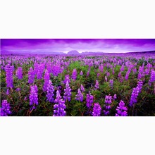 Toalha de praia de microfibra personalizada, lavanda, impressão, toalhas de secagem do banheiro, acampamento, yoga, piquenique, cobertor para crianças, 70x140cm 2024 - compre barato