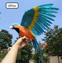 Grande vida real azul & laranja asas papagaio modelo de espuma & pena simulação papagaio pássaro presente cerca de 45x60cm xf0s8 2024 - compre barato
