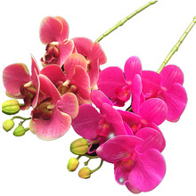 Orquídeas de phalaenopsis da planta do plutônio 3d das orquídeas da flor da orquídea da borboleta do toque real de 50 pces para flores decorativas artificiais 2024 - compre barato
