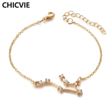 CHICVIE-pulsera de plata y oro personalizado de 12 Constelaciones para mujer, brazaletes de la amistad de acero inoxidable, regalo, SBR190065 2024 - compra barato