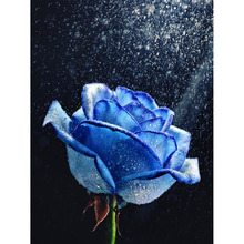 Full square/Round drill Diamond embroidery blue Rose 5D DIY diamond Painting Cross Stitch Rhinestone Mosaic decor 2024 - buy cheap