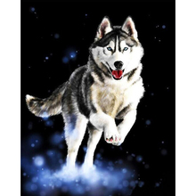 Pintura de diamante 5d diy para niños, bordado de husky bonito, punto de cruz, rompecabezas, mosaico, manualidades, Y2273 2024 - compra barato