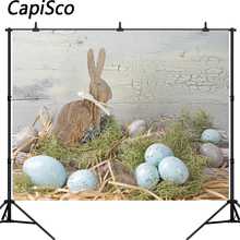 Capisco placa de madeira ovos de páscoa coelho bebê fotografia fundos personalizados backdrops fotográficos para estúdio de fotos 2024 - compre barato