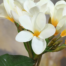 6 шт. белый французский 37 см длина Плюмерия кумината букет искусственных цветов Свадебные домашние декоративные искусственные цветы 2024 - купить недорого