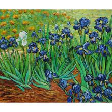 High quality Vincent Van Gogh modern art Irises Oil paintings reproduction hand painted 2024 - buy cheap