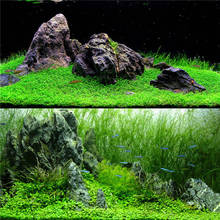 Aquarium Plant Seeds Glossostigma Hemianthus Callitrichoides Easy Growing Water Plant Grass Fish Tank Landscape Ornament Decor 2024 - buy cheap