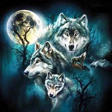 Full Square/Round Diamond 5D DIY Diamond Painting Animal Wolf Embroidery Cross Stitch Rhinestone home children Decoration gift 2024 - buy cheap