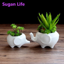 Cute Mini White Ceramic Elephant Desktop Small Flower Succulent Plants Planters Pots Bonsai Pots Flowerpot Home Table Decoration 2024 - buy cheap