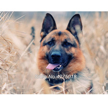 diy diamond Embroidery German Shepherd,5d full diamond painting Drill mosaic picture,Rhinestone cross-stitch home decor YG262 2024 - buy cheap