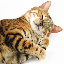Забавный кот Жевательная палочка кошачий мячик леденец котенок чистка зубов игрушки для кошек RT99 2024 - купить недорого