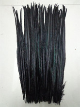 50 Uds. Plumas de la cola de faisán de color negro Natural de alta calidad 20-22 pulgadas/50 a 55 cm 2024 - compra barato