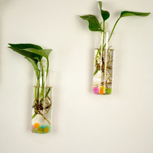 Florero de vidrio transparente para decoración del hogar, jarrón colgante de flores, plantas de terrario, bricolaje, Micro paisaje, 6 formas 2024 - compra barato