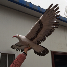 huge simulation Seagull toy feather wings seagull bird model gift about 100x50cm 2024 - buy cheap