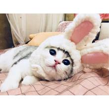 Dogs Cats Cartoon Costumes Cute White Rabbit Ear Shaped Hat Cap Dog Kitten Cosplay Headband New Year Party Accessory Photo Props 2024 - buy cheap