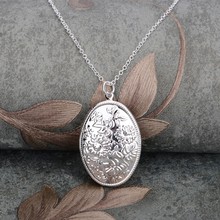 silver plated Necklace 925 jewelry silver Pandant Fashion Jewelry LNWPUDDK 2024 - buy cheap