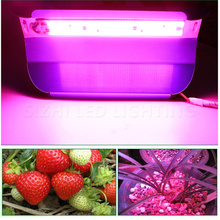 Lámpara LED Phyto de espectro completo, luz de cultivo de alta potencia, 50W, 80W, 110V, 220V, impermeable, para plantas de interior, invernadero, hidropónico, 10X 2024 - compra barato