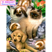 Pintura de diamante 5D Diy "perro, gato, conejillo de indias", bordado de diamantes de imitación redondos, mosaico para manualidades 1123 2024 - compra barato