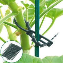 50PCS Gardening Helper Multi-use Reusable Ties For Climbing Easy Flexible Plastic Plant Cable Ties Plant Sprouting Promoter Tool 2024 - buy cheap