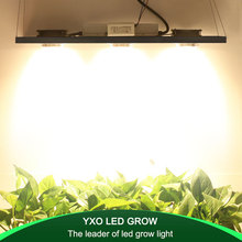 CREE-Lámpara LED de espectro completo CXB3590, 300W, COB, 38000LM HPS = 600W, para crecimiento de plantas en interiores 2024 - compra barato