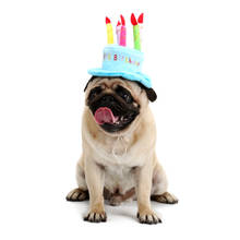 2017 аксессуары на день рождения, аксессуары для домашних животных, шляпа для собак, торт, индивидуальная шапочка для домашних собак, поставка домашних животных 2024 - купить недорого