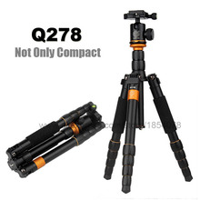 Tripé compacto e leve qzsd q278 para câmera portátil canon nikon dslr profissional. 2024 - compre barato