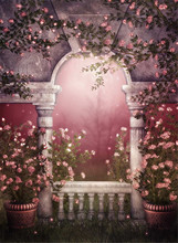 Garden Balcony Backdrops for Photography Printed Pink Flowers Vines Moonlight Retro Vintage Kids Wedding Photo Shoot Background 2024 - buy cheap