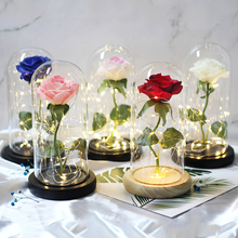 Medium Beauty and the Beast rose, Rose in glass dome, forever rose, red rose, preserved rose, Belle rose, special romantic gift 2024 - buy cheap