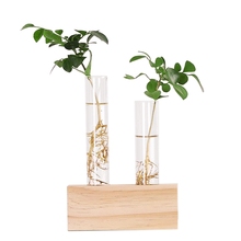 Vaso de vidro hidropônico + suporte de madeira, vaso de flores, plantas para jardim, decoração da casa 2024 - compre barato