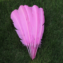 Plumas de pavo reales naturales, extensiones de pelo de plumas de ganso, color rosa, 25-30cm, venta al por mayor, envío gratis, 50 Uds. 2024 - compra barato