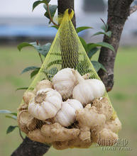 Bolsa de embalaje de fruta acuática para el hogar, red de malla para recibir alimentos, color blanco y amarillo, para jardinería 2024 - compra barato