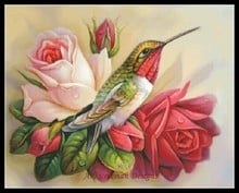 Bordado para o bordado DIY DMC Alta Qualidade-pintura a Óleo Contados Kits de Ponto Cruz 14 ct-Colibris em Rosas 2024 - compre barato