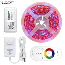 [DBF]5050 LED Strip RGB / RGBW / RGBWW 5M 300LEDs Neon Tape Light + 2.4G Remote Controller + DC 12V 3A Power Adapter 2024 - compre barato