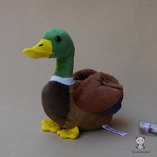 Plush Stuffed Animals Toy Simulation Green Head Duck Dolls  Cute Toys for Children Gifts 2024 - buy cheap