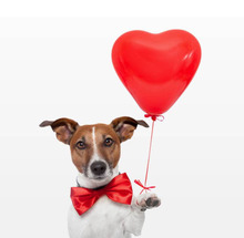 1,5 г, жемчужный латексный воздушный шар в форме сердца, разные цвета, надувные свадебные украшения, воздушный шар, товары для дней рождения, воздушные шары, 100 шт. 2024 - купить недорого
